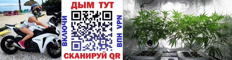 купить закладку  Нолинск  Бошки марихуана Bruce Banner 